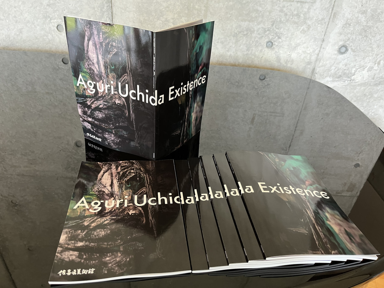 Aguri Uchida Existence』記録集、入荷いたしました。│お知らせ